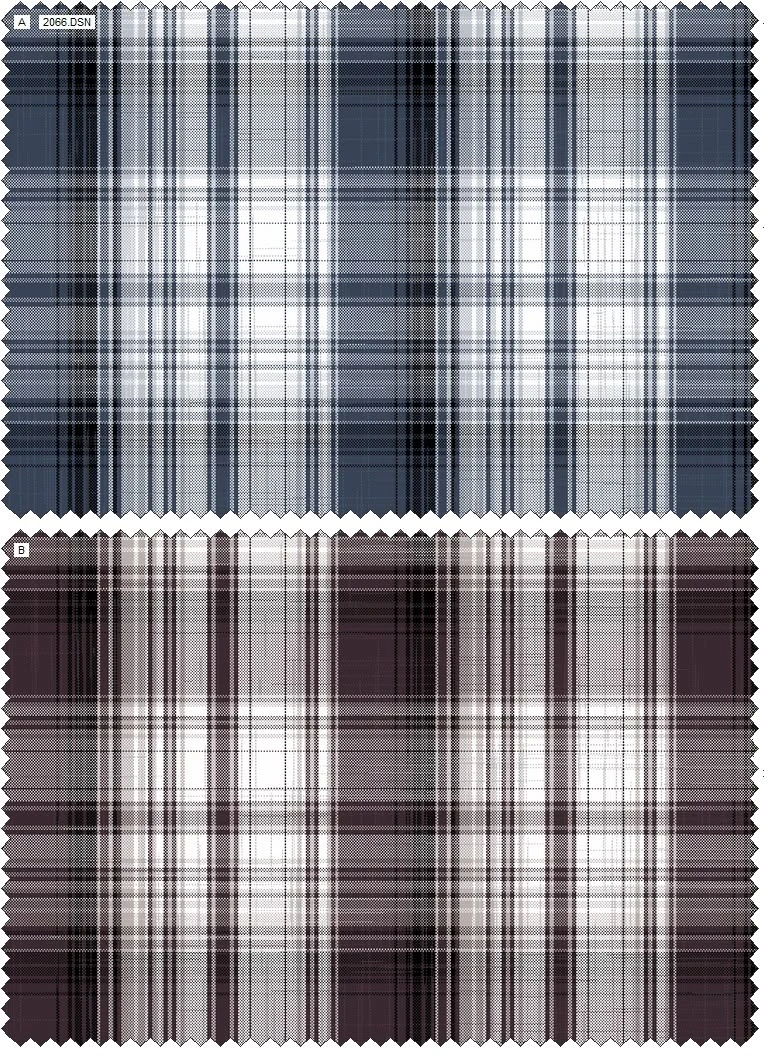 Design 2066