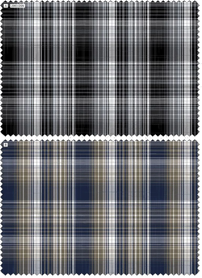 Design 2063