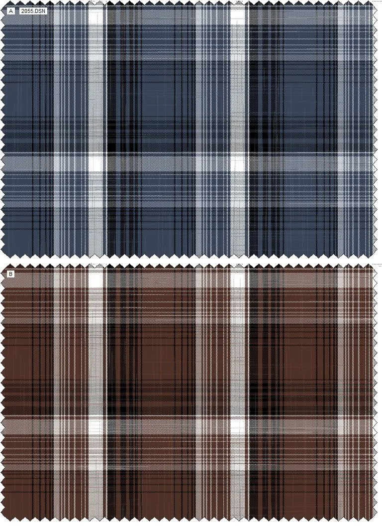 Design 2055