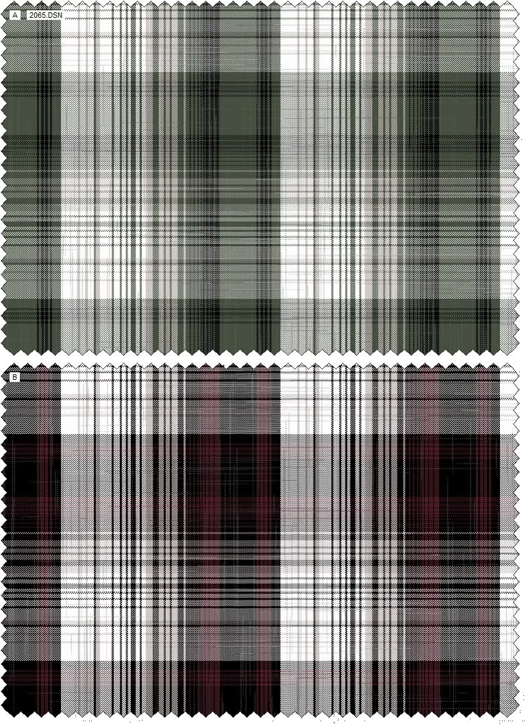 Design 2065